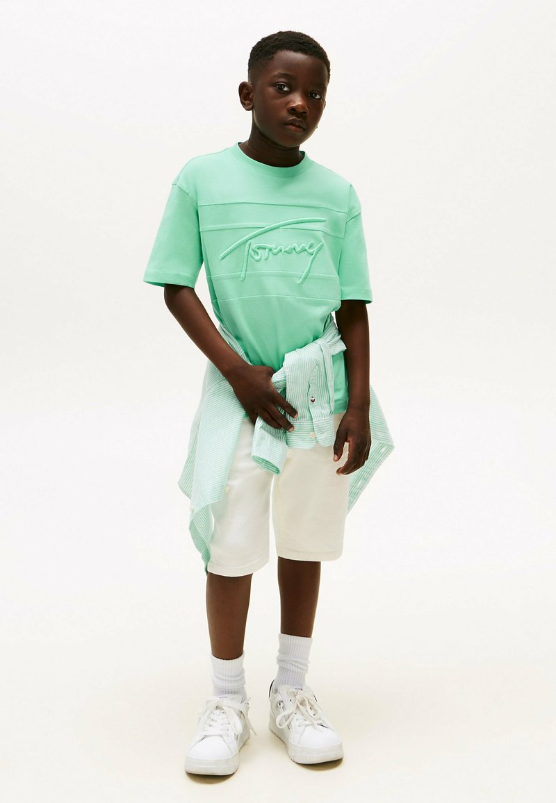 Tommy Hilfiger SIGNATURE EMBROIDERY - Camiseta estampada - menthol