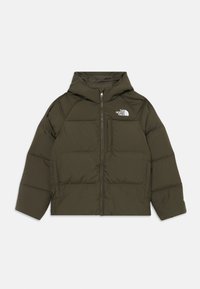 Pasirinkta, new taupe green