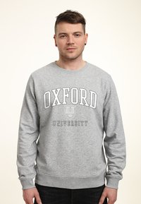 Felpa grigia con maniche lunghe, collo a giro, con la scritta "OXFORD UNIVERSITY" in grassetto, nero, sul petto. Tessuto morbido.