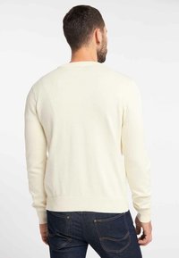 Heller Cremefarben Pullover, Stricktextur, Rundhalsausschnitt, lange Ärmel, gerippter Saum und Bündchen, getragen mit dunkelblauen Jeans. Rückansicht zeigt Passform und Farbe.