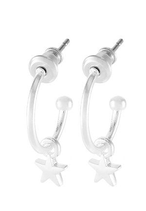 2-IN-1 - Øredobber - silver-coloured