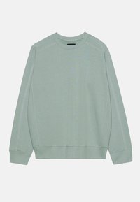 Lichtgroene sweatshirt gemaakt van zachte stof, met lange mouwen, een ronde hals en contrasterende stiksels langs de naden.