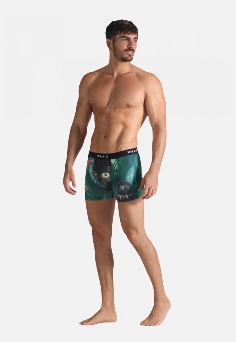Boxer briefs avec un design tropical vert, un chat noir et des accents floraux. Tissu doux, ceinture élastique et coupe ajustée.