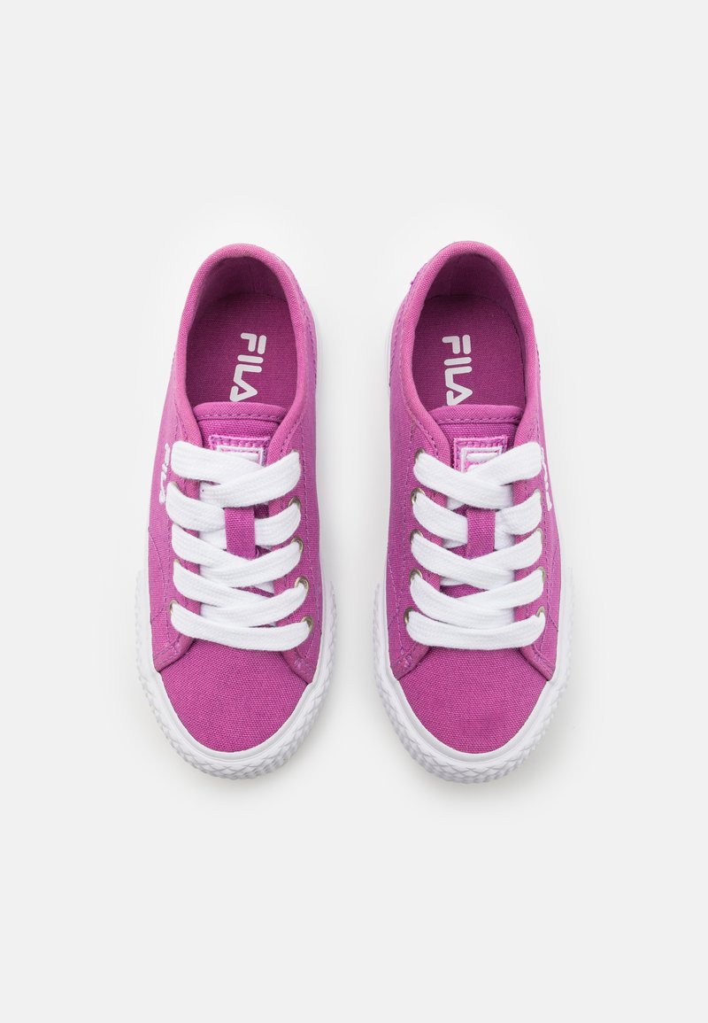 purple filas with flowers