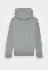 Jasnoszara bluza z kapturem, z długimi rękawami, ściągaczami przy mankietach i na dole, pokazana z tyłu na białym tle.