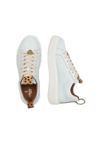 Sneakers in pelle azzurra chiara con lacci beige e suole bianche testurizzate. Accenti in stampa leopardata sulla linguetta e dettaglio del logo a forma di cuore dorato.