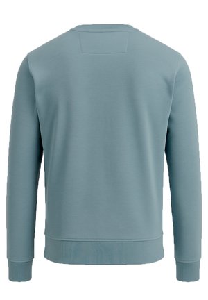 Hellblauer Pullover mit langen Ärmeln, gerippten Bündchen und Saum. Glatte Textur und einfacher Rundhalsausschnitt mit einem Rückenpasse-Detail.