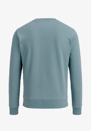 Sweat-shirt bleu clair à manches longues, avec poignets et ourlet côtelés. Texture lisse et encolure ronde simple avec un détail d'empiècement au dos.