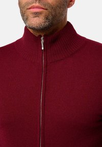 Mann trägt einen burgunderfarbenen Strickpullover mit einem silbernen Reißverschluss, der am Kragen teilweise zugezippt ist, und zeigt Stoppeln im unteren Gesicht.