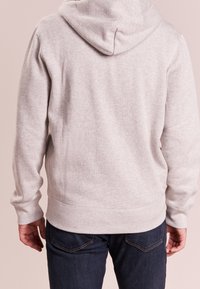 Polo Ralph Lauren Luvtröja - light grey