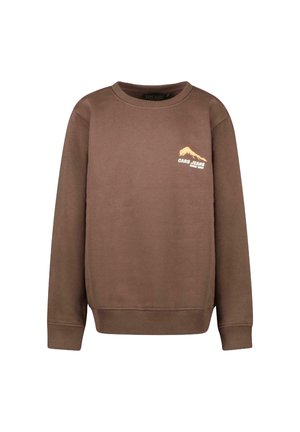 Cars Jeans TARAY BERRY - Sweater - brown