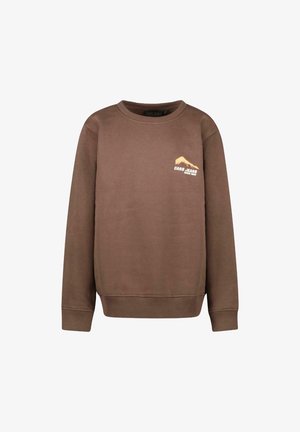 Cars Jeans TARAY BERRY - Sweater - brown