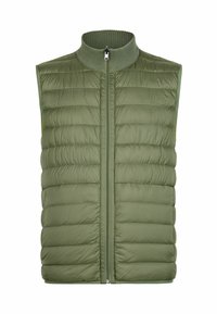 Unausgewählt, grün fern