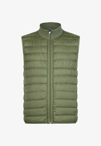 Unausgewählt, grün fern