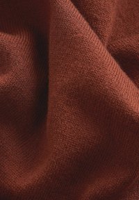 Next REGULAR FIT - Hosszú ujjú felső - orange terracotta