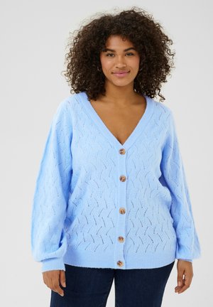 Light blue knit cardigan featuring a V-neck, button front, textured pattern, and puffed long sleeves, with wooden button accents.