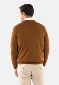 Maglione marrone a maglia con collo girocollo e polsini a coste, indossato sopra una camicia bianca con colletto, abbinato a pantaloni chiari. Vista da dietro.