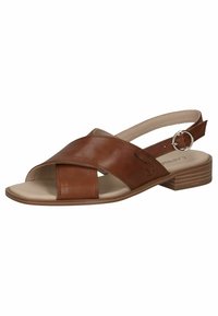 Sandales en cuir marron avec un design croisé, bout ouvert et sangle arrière ajustable dotée d'une boucle métallique ronde. Talon bas empilé.