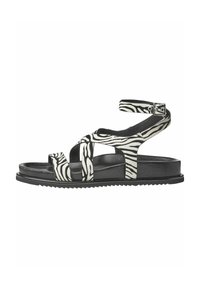 Unausgewählt, zebra