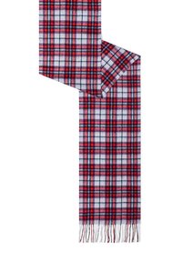 Rot-schwarz-weißer kariertes Schal mit fransigen Enden, gefaltet um beide Seiten zu zeigen, flach auf einem weißen Hintergrund ausgelegt.