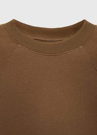 Bruine sweatshirt met een ribbelige ronde hals en raglan mouwen met een soepele textuur. Geen zichtbare logo's of patronen.