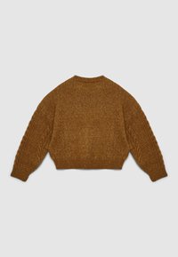 Brauner, kurz geschnittener Pullover mit Zopfmuster an den Ärmeln und geripptem Saum. Weiche Textur und runder Halsausschnitt. Rückansicht.