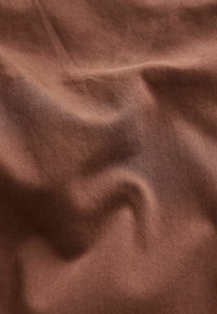 Next SLIM FIT PREMIUM - Chino hlače - rust brown