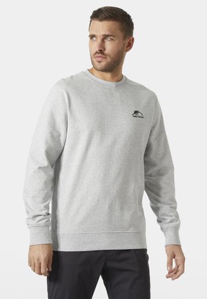 Man draagt een lichtgrijze Helly Hansen trui met lange mouwen en zwarte broek, kijkt naar links tegen een effen witte achtergrond.