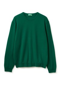 CREW NECK - Pullover - green