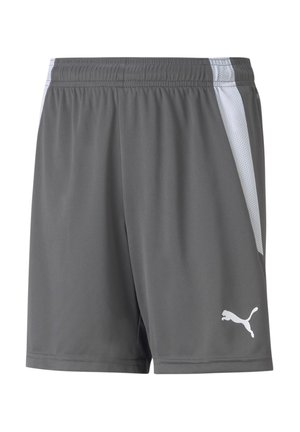 Puma TEAMLIGA  - Korte broeken - grauweiss