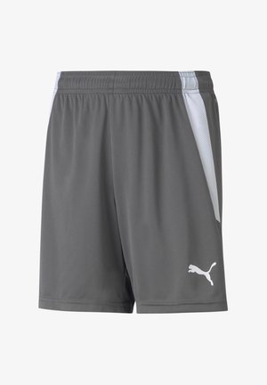 Puma TEAMLIGA - Pantalón corto de deporte - grauweiss