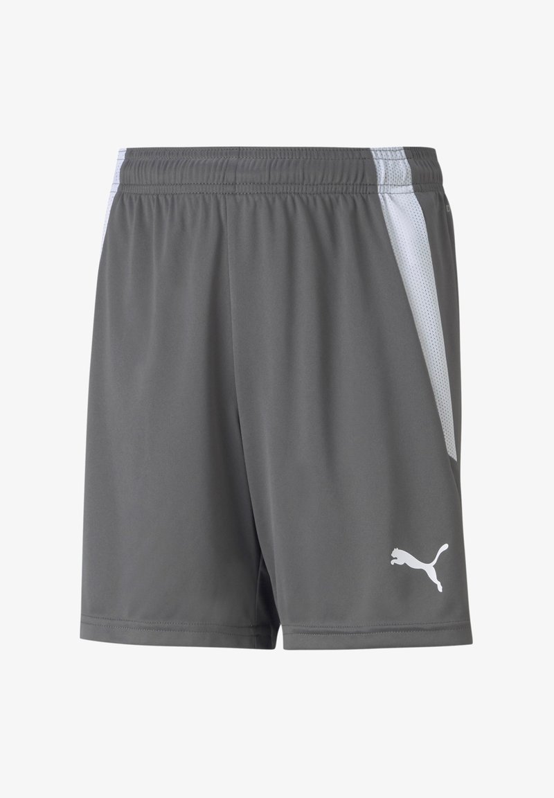 Puma TEAMLIGA - Kurze Sporthose - grauweiss