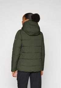 Columbia LONGHORN RIDGE™ INSULATED JACKET - Winterjas - greenscape