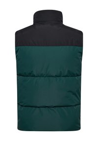 Chaleco sin mangas acolchado que presenta una sección superior negra y una sección inferior verde oscuro. Textura suave con un collar alto y costuras horizontales.