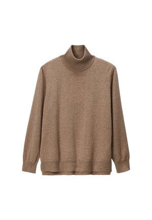 Pull à col roulé marron en matériau doux, doté d'un col côtelé, de manches longues et d'une coupe décontractée avec un design épuré et simple.