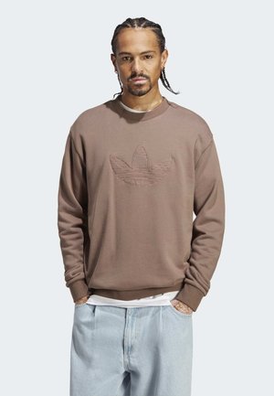 GRAPHICS MONOGRAM CREW - Felpa - earth strata