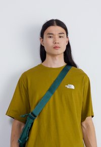 The North Face MENS TEE RELAXED HALF DOME - T-shirt estampada - moss green