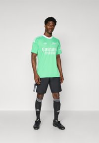Grünes Torwarttrikot mit weißen Akzenten, schwarzen Shorts und Socken. Mit adidas- und Emirates-Branding. Strukturiertes Gewebe, sportliche Passform.