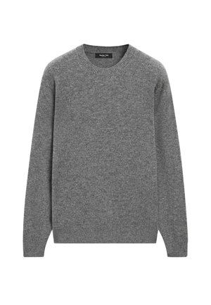 CREW NECK SWEATER - Maglione - grey