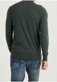 Grüner Strickpullover mit gerippten Akzenten an den Schultern, langen Ärmeln und einem taillierten Saum. Getragen mit blauen Jeans, Rückansicht gezeigt.