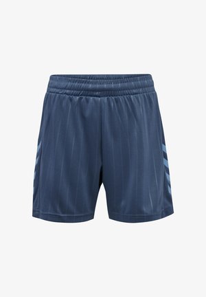 Navy Sportshorts mit einem elastischen Bund, leichtem Material, vertikalen Streifen und hellblauen seitlichen Akzenten.