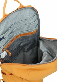 Deuter Zaino da viaggio - amber maple