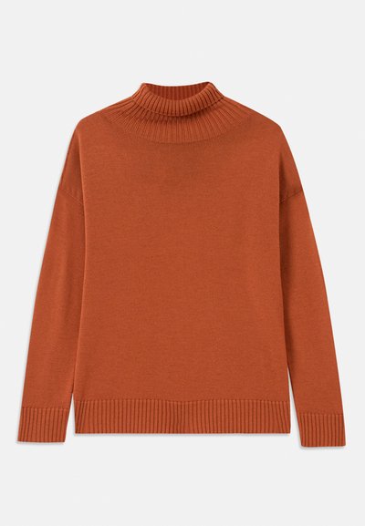 Turtleneck sweater in burnt orange, made of soft knit fabric. Features ribbed collar and hem, with a relaxed silhouette and long sleeves.