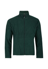 Dunkelgrüne Fleecejacke mit hohem Kragen, durchgehendem Reißverschluss und langen Ärmeln. Glatte Textur ohne sichtbare Muster oder Akzente.