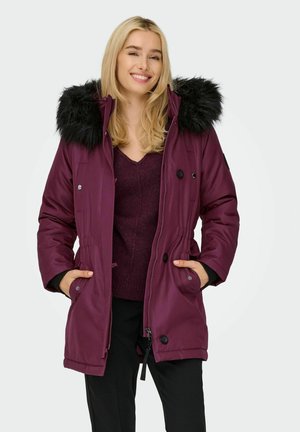 Manteau d'hiver - fig