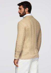 Maglione lavorato a maglia beige con motivo a spina di pesce, polsini e orlo a costine. Indossato sopra una camicia bianca con colletto, mostrato dal retro.