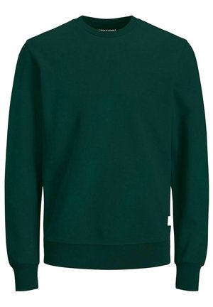 Solid SDLENZ CREW - Sweatshirt - Insignia Blue/blue
