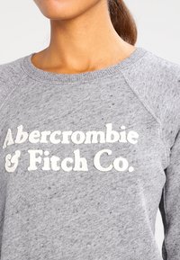 Grijze sweatshirt van zachte stof met een ronde hals en raglanmouwen, bedrukt met "Abercrombie & Fitch Co." in witte letters.