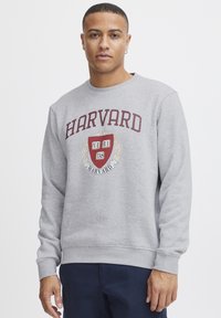 Grijze sweatshirt met "HARVARD" in kastanjebruine tekst, een centraal schildlogo, geribbelde manchetten en een ronde halslijn. Gladde stofstructuur.