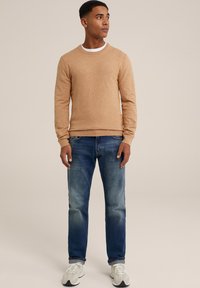 WE Fashion THE EVERYDAY - Džemperis - brown